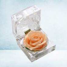 Gift Wrap Boxes - Image 7 - View 4