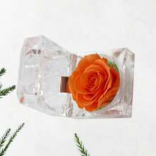 Gift Wrap Boxes - Image 9 - View 10