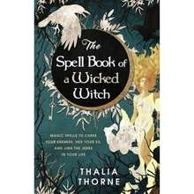 The Spell Book Of A Wicked Witch: Magic Spells To Curse Your Enemies, Hex Your Ex, And Jinx The (Paperback) By Thalia Thorne - Single Book - View 3