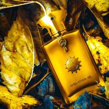 Amouag-E Jubilation 40 EDP Spray 100ml For Men, Sweet, Woody & Earthy, Long-Lasting Fragrance With Intense Diffusion. - Jubilation 40 - 查看 4