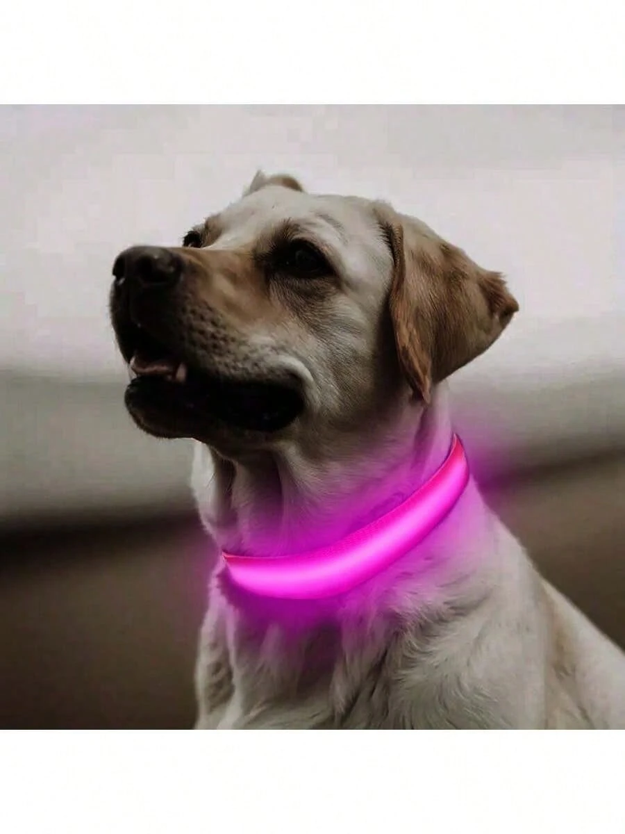 1 pièce Collier lumineux réglable rayé pour chien/chat, collier de fluorescent pour animaux de compagnie pour la nuit 7