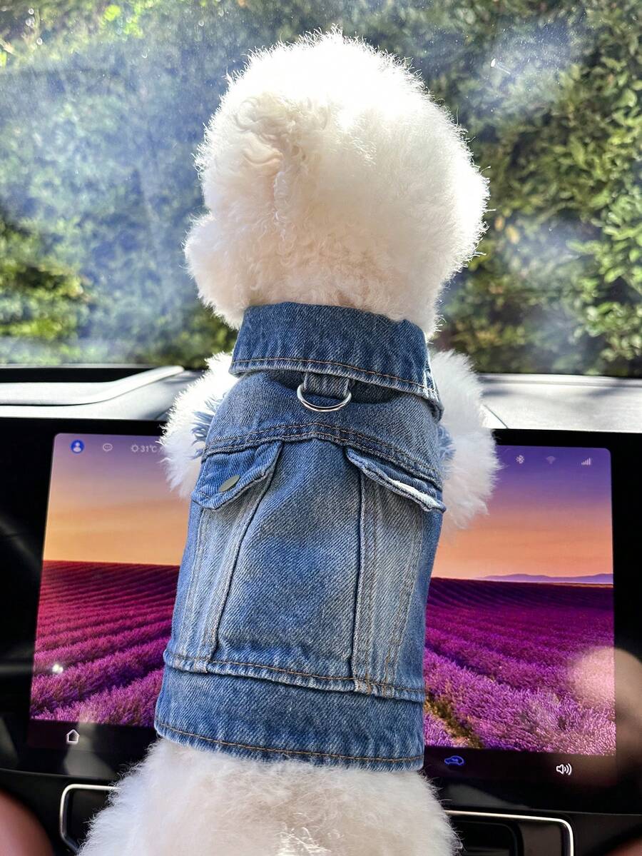 1 pieza Ropa para mascotas, Ropa exterior moderna, cómoda y con estilo casual y adorable para perros y gatos pequeños