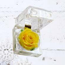 Rosa Eterna De Flores Conservadas Con Caja De Regalo Para Mujer - Regalo Para San ValentíN, CumpleañOs Y Aniversarios (Amarilla) - foto 2 - Ver 12