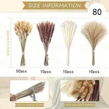 200 Pampas Grass For Bohemian Style Home Decor, 17 Inch Neutral Dried Pampas Flowers For Western Modern Bedroom Dining Table Bathroom Wedding Baby Shower Decoration, For Elegant Flower Arrangements, Home And Table Decor Home, Kitchen Supplies