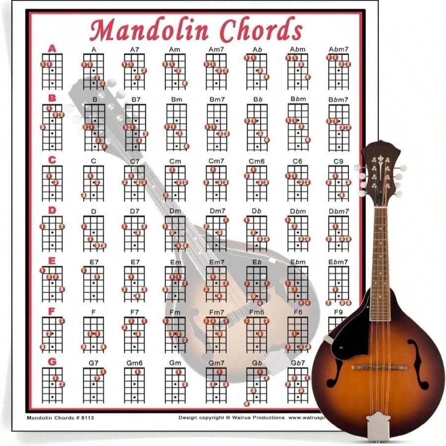 Mini Mandolin Chord Chart Poster - Laminated Mandolin Instrument Chart For Beginners And Musicians - Music Theory Poster With 56 Chords - Mandolin Accessories - 85&#34; X 11&#34; - Walrus Productions
