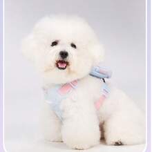 UNA MASCOTA Pet Harnesses - Blue - View 8