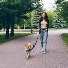 Guia de Corrida para Animais de Estimação com Pochete, Guia Retrátil Multifuncional para Cães, Guia de Cão Sem Mãos, Guia de Cintura com Absorção de Choque para Passeio, Corrida, Caminhada, Cinto Ajustável com Pochete e Alça, Cinto de Corrida Reflexivo para Cães Pequenos, Médios e Grandes