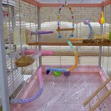 1pc/ Birdcage, Rotating Climbing Stand, Black Phoenix, Peony, Tiger Skin Parrot, Climbing Swing Toy, Cotton Rope Stand, Birdcage, Decorative Items, Length Optional