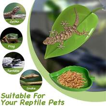 12 piezas Decoración de recipiente de vidrio para reptiles y animales acuáticos, accesorios para ranas arbóreas y serpientes, adecuado para: plataforma de tomar el sol para tortugas, juguetes para trepar en la pared para lagartos y geckos, decoración de hábitat para peces de acuario y camarones - con tazón de alimentación y ventosa para plantas