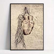 Da Vinci Anatomy Canvas Poster - Frameless Human Body Art Print For Living Room, Bedroom & Home Office Decor