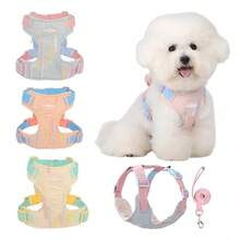 UNA MASCOTA Pet Harnesses - Blue - View 10