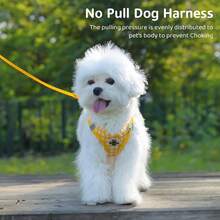 Dog Harness And Leash SetSoft Mesh Breathable Small Dog Harness Reflective Adjustable Puppy Harness No Pull Pet Harness For Small Dogs And Cats - 中+黃色 - 查看 3