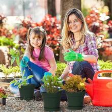 Juego de 15 macetas de plástico de 6 pulgadas conúltiples orificios de drenaje y bandejas, macetas para flores de jardín, hogar y suculentas de interior y exterior. (verde) - verde - Ver 6