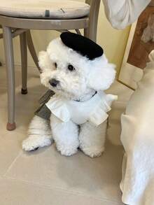 1 pieza de vestido blanco de moda para perros, con moños y volantes - perfecto para perros pequeños y medianos en otoño e invierno, atuendo de moda para perros | Diseño de oso de peluche | Tela texturizada, atuendo para perros pequeños