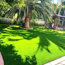 Approx. 1m X 0.5m / 1m X 1m / 1m X 2m / 1m X 3m / 1m X 4m / 1m X 5m / 1m X 6m Thin Artificial Grass Mat, Durable, Easy To Cut, Fire & Water Resistant, Suitable For Outdoor/Indoor, Patio, Balcony, Pet Play Area - Low Maintenance Yard Solution, Natural Appearance, Easy Installation, High Quality Material, Party Backdrop, Event Planning