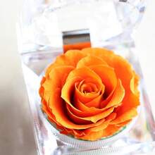 Gift Wrap Boxes - Image 9 - View 8