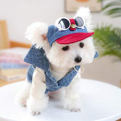 طقم قبعة + نظارات، قبعة شمس جميلة للحيوانات الأليفة للاستخدام الخارجي، قبعة وقبعة بيسبول وأنيقة، مناسبة للخروج لحجب الضوء وحماية عيون الحيوانات الأليفة، مناسبة للحيوانات الأليفة الصغيرة والجراء