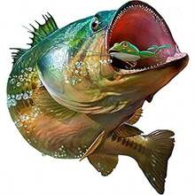 Pegatina de pescado de lubina, pegatina para parachoques de pesca, coche, SUV, camin, barco, RV, barco, caja de aparejos de caa, 6 pulgadas - Calidoscópico - Ver 1