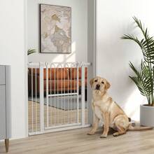 Pet Fence - default - View 2