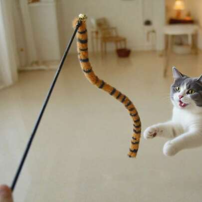 适合室内猫和幼猫的互动猫棒玩具，猫互动玩具，适合室内猫的猫玩具，适合小猫的互动逗猫玩具