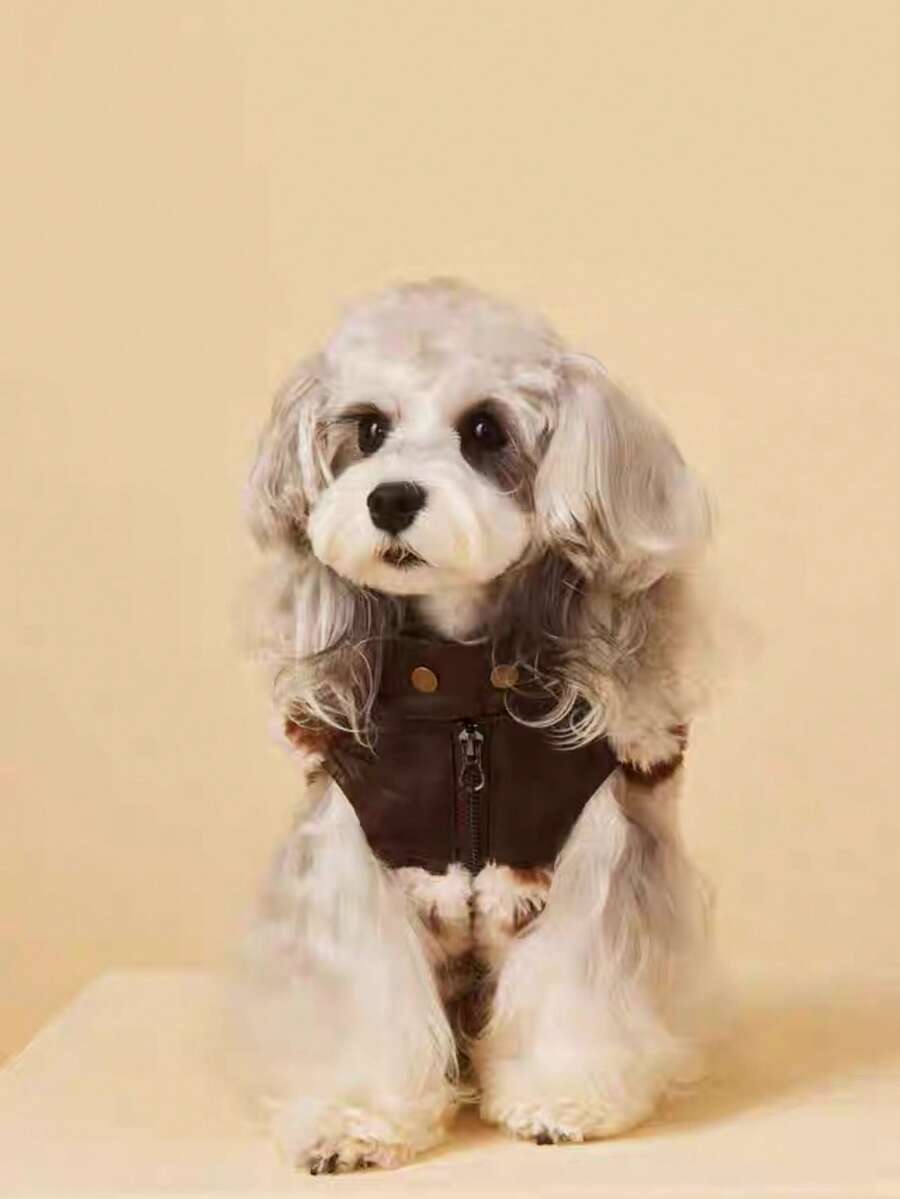 Autumn/Winter Schnauzer Teddy Poodle Faux Fur Vest, Maillard Warm Sleeveless Pet Clothes - Multicolor - View 1