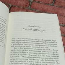 La bruja verde. De Arin Murphy-Hiscock. De magia con hierbas,flores,aceites esenciales,y mas.Libro de magia,espiritualidad y ciencias ocultas. - Libro único - Ver 3