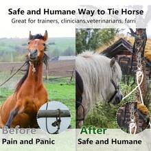 3pcs Stainless Steel Horse Tack Set - Durable Collar Strap With Quick Buckle And Swivel Bolt, Multipurpose For Training And Safety