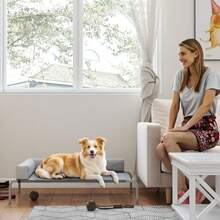 Pet Hammock/Window Perches - default - View 6