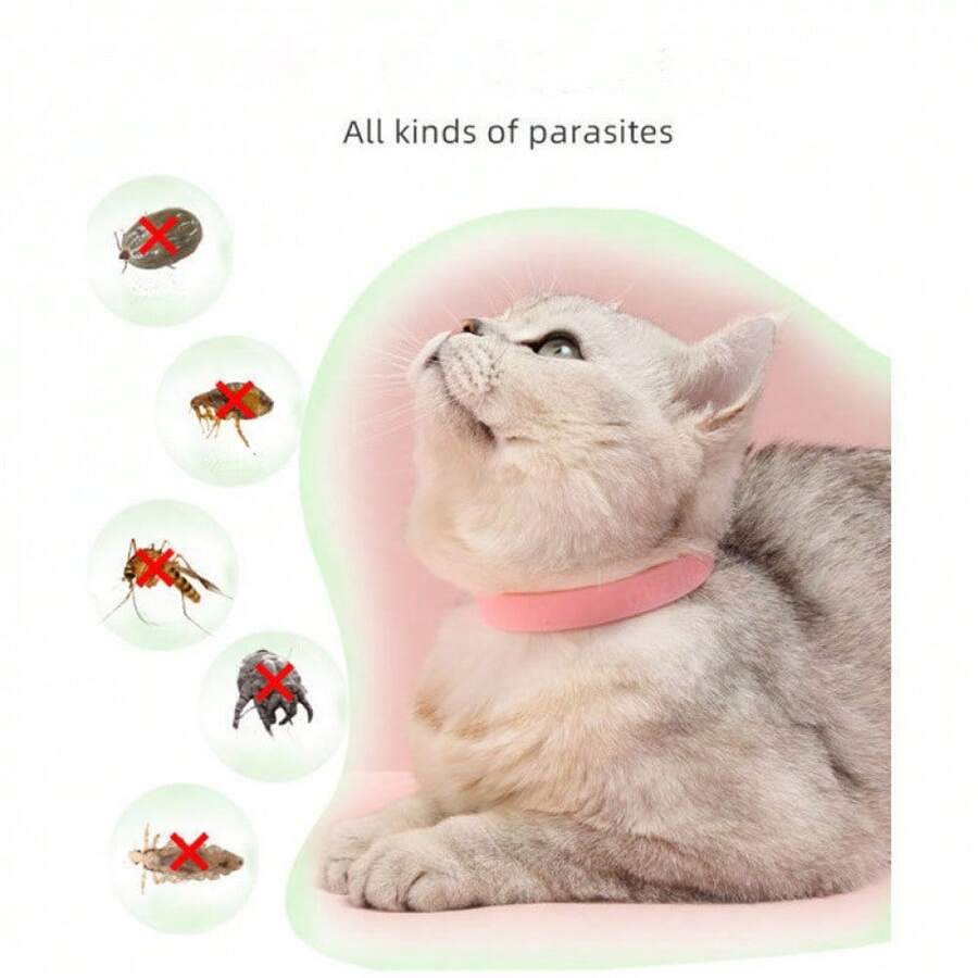 1PCS Pet Cat Dog Flea Collar Lice Mosquito Hate Smell Collar Kangtai Collar, Pet Mosquito Repellent Collar, Dog Stuff, Dog Collar, Cat Stuff, Collars - Random - View 1