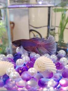 磨砂彩色玻璃珠适用于水族箱——鱼缸装饰、玻璃容器造景、DIY微景观花瓶填充物、水族沙基基质 - 彩色 - 查看 4