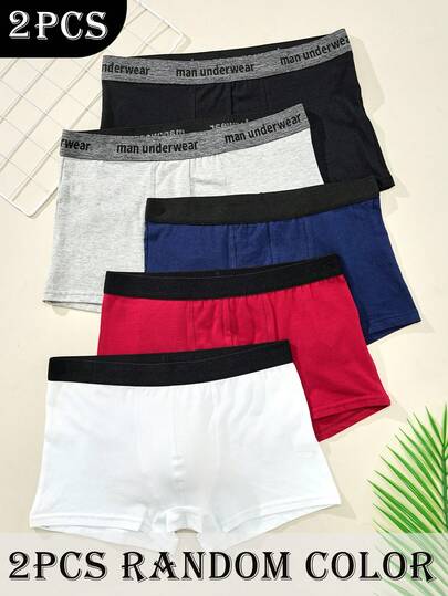 2 chiếc quần lót nam bằng cotton, màu ngẫu nhiên, kiểu dáng công sở thường ngày.