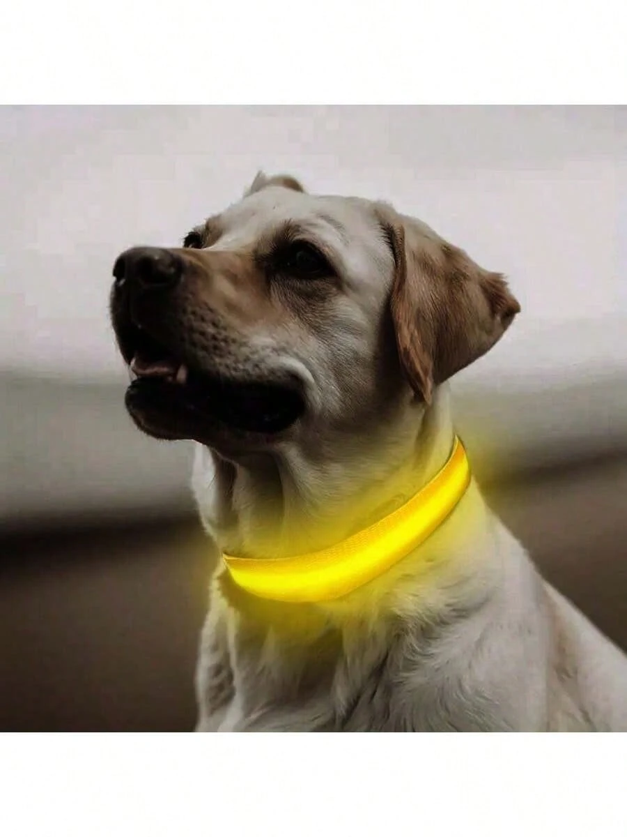 1 pièce Collier lumineux réglable rayé pour chien/chat, collier de fluorescent pour animaux de compagnie pour la nuit 9