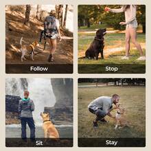 Dog Training Collar, Dog Shock Collar With Remote Range 2000FT, 3 Training Modes, Rechargeable Electric Shock Collar For 5-120lbs Small Medium Large Dogs - 黑色 - 查看 9