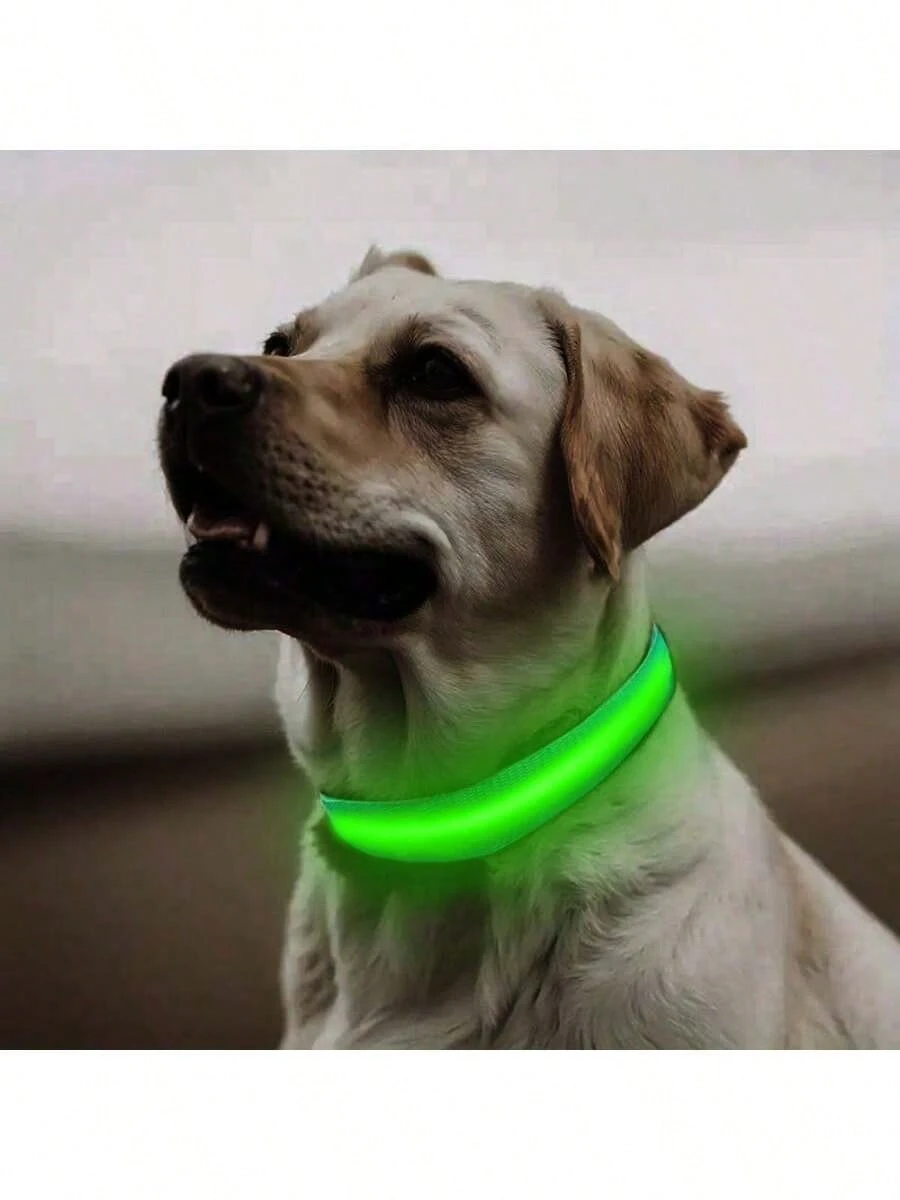 1 pièce Collier lumineux réglable rayé pour chien/chat, collier de fluorescent pour animaux de compagnie pour la nuit 10
