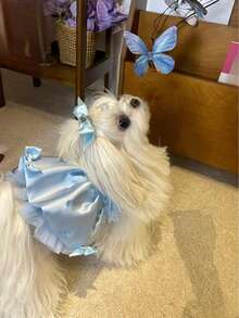 Robe de princesse en tulle avec nœud en strass fait main pour animaux de compagnie (à l'exclusion des accessoires pour cheveux) - Bleu azur - Voir 3