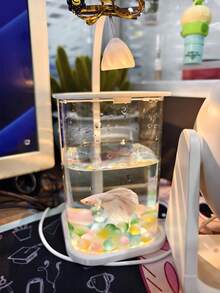 磨砂彩色玻璃珠适用于水族箱——鱼缸装饰、玻璃容器造景、DIY微景观花瓶填充物、水族沙基基质 - 彩色 - 查看 10