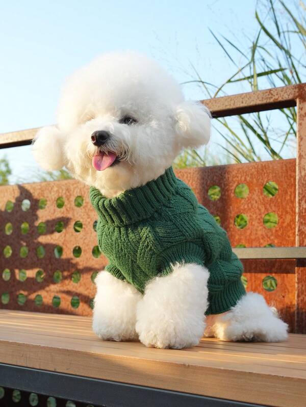 UFBemo 1 قطعة كنزة صوفية للحيوانات الأليفة، تصميم بسيط بياقة عالية، دافئة للخريف/الشتاء، مناسبة للقطط والكلاب الصغيرة/المتوسطة الحجم