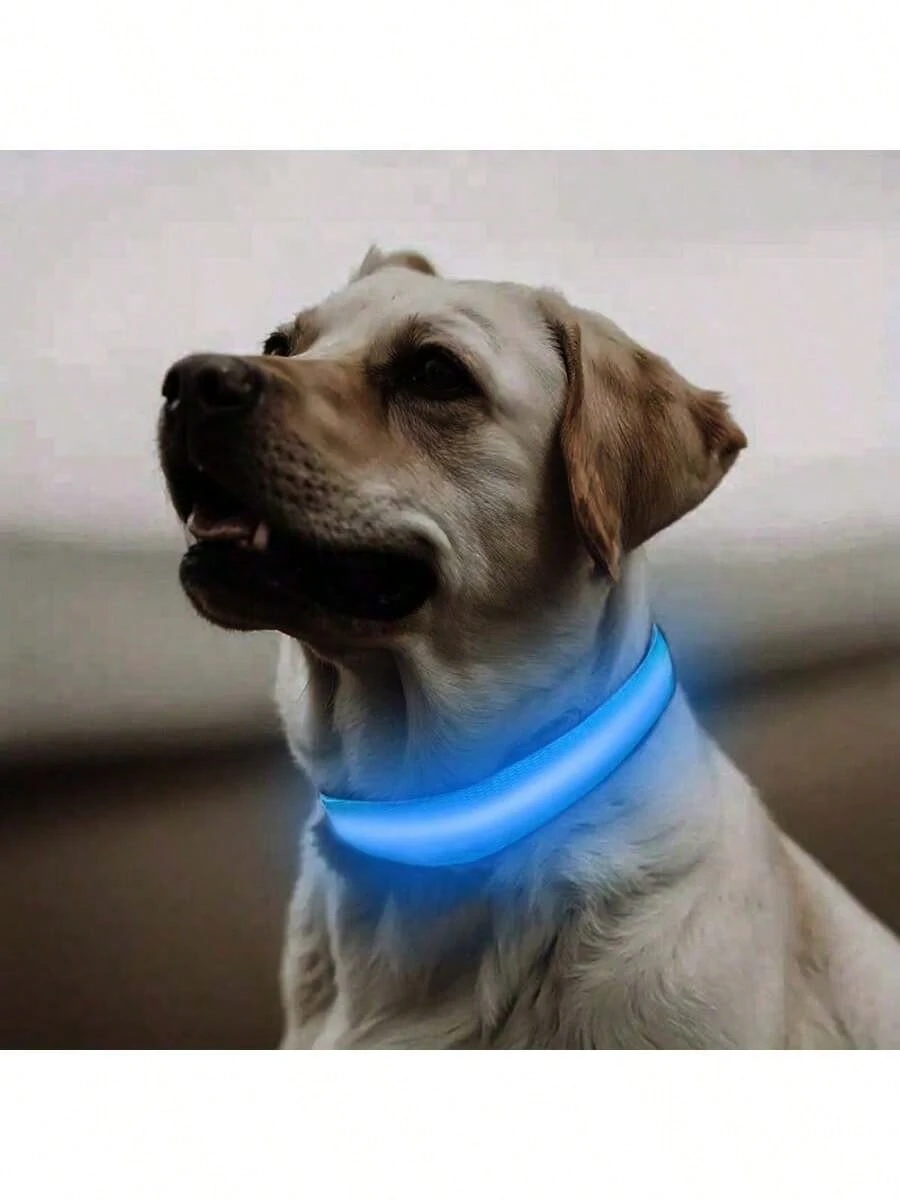 1 pièce Collier lumineux réglable rayé pour chien/chat, collier de fluorescent pour animaux de compagnie pour la nuit 5