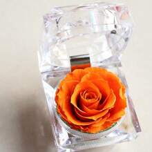 Gift Wrap Boxes - Image 9 - View 6