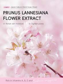 1 片装，方便携带 LAIKOU 日本樱花洗手液 25 克，保湿皂沐浴皂清洁毛孔改善肌肉健康清洁适合女性所有肤质，适用于旅行、露营、徒步旅行、登山、户外水疗自我护理 - 25g - 查看 5