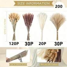 200 Pampas Grass For Bohemian Style Home Decor, 17 Inch Neutral Dried Pampas Flowers For Western Modern Bedroom Dining Table Bathroom Wedding Baby Shower Decoration, For Elegant Flower Arrangements, Home And Table Decor Home, Kitchen Supplies