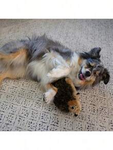 Outward Hound, Hedgehogz Plush Dog Toy, Medium - 假日刺猬 - 查看 3