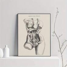 Impression sur canevas d'art vintage d'anatomie féminine - Décoration murale moderne sans cadre pour le salon, la chambre à coucher, le bureau à domicile - Affiche de diagramme anatomique classique pour la salle de bain, la salle à manger - Utilisation intérieure/extérieure - Orientation verticale à 90 degrés - Multicolore - Voir 1