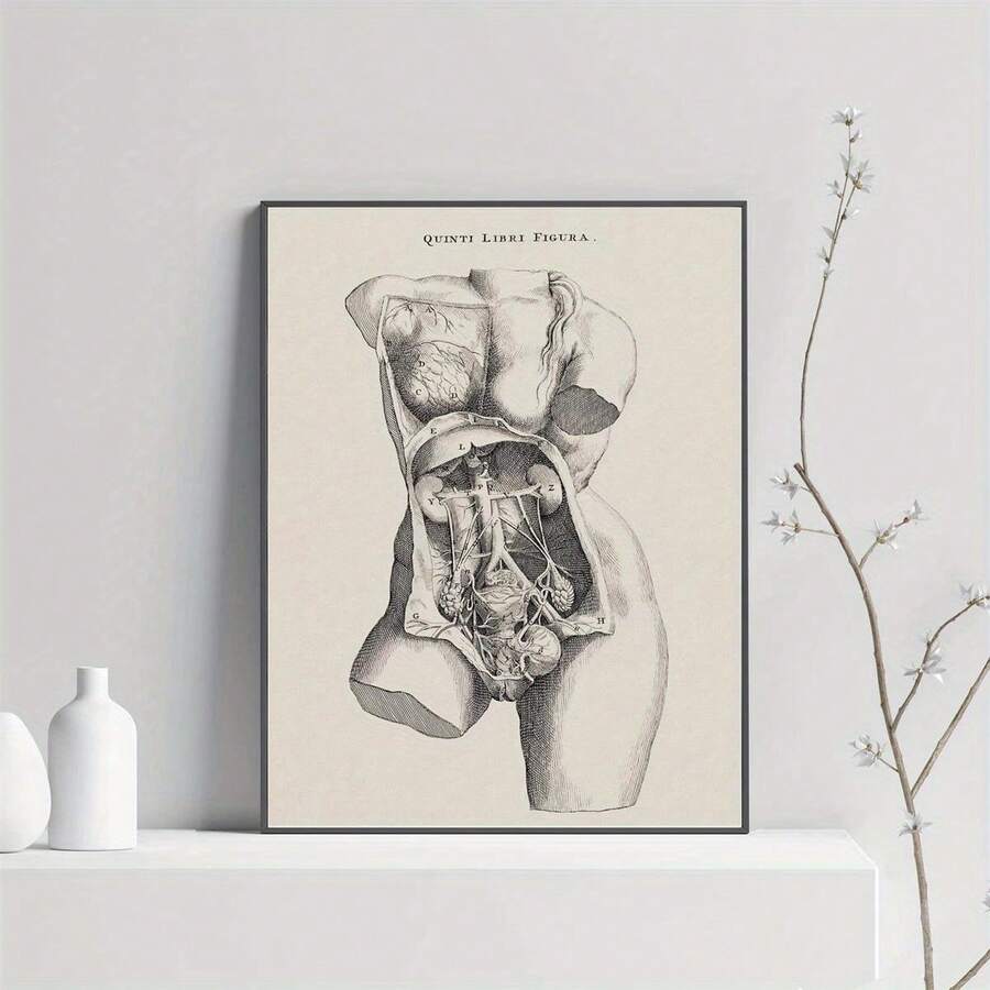 Impression sur canevas d'art vintage d'anatomie féminine - Décoration murale moderne sans cadre pour le salon, la chambre à coucher, le bureau à domicile - Affiche de diagramme anatomique classique pour la salle de bain, la salle à manger - Utilisation intérieure/extérieure - Orientation verticale à 90 degrés - Multicolore - Voir 1