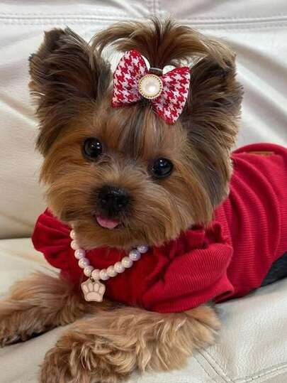 1个宠物千鸟格蝴蝶结发夹，复古可爱珍珠装饰，适用于猫狗，节日配饰