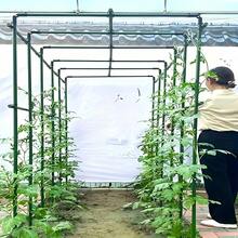 28pcs Sturdy And Durable Garden Support Set, Freely Combinable, Suitable For Tomatoes, Grapes, Cucumbers, Various Fruits, Plants, Vegetables, A Helpful Gardening Tool For Greenhouse And Outdoor Gardening - Multicolor - View 3