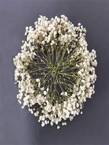 100pcs Mini Baby Breath & Other Dried Flowers - Resin Mold Art Craft, Ivory White Bouquet, Headpiece, Wedding Wreath, Tabletop Vase, Home Decor