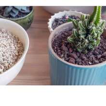 Bolsa Sustrato vermiculita 1 galon - Blanco - Ver 1