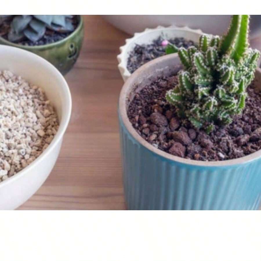 Bolsa Sustrato vermiculita 1 galon - Blanco - Ver 1