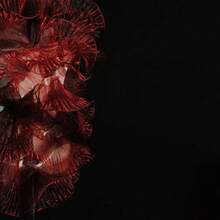 Tecido de Organza Degradê de Sereia com Bordas Franzidas, Material Decorativo